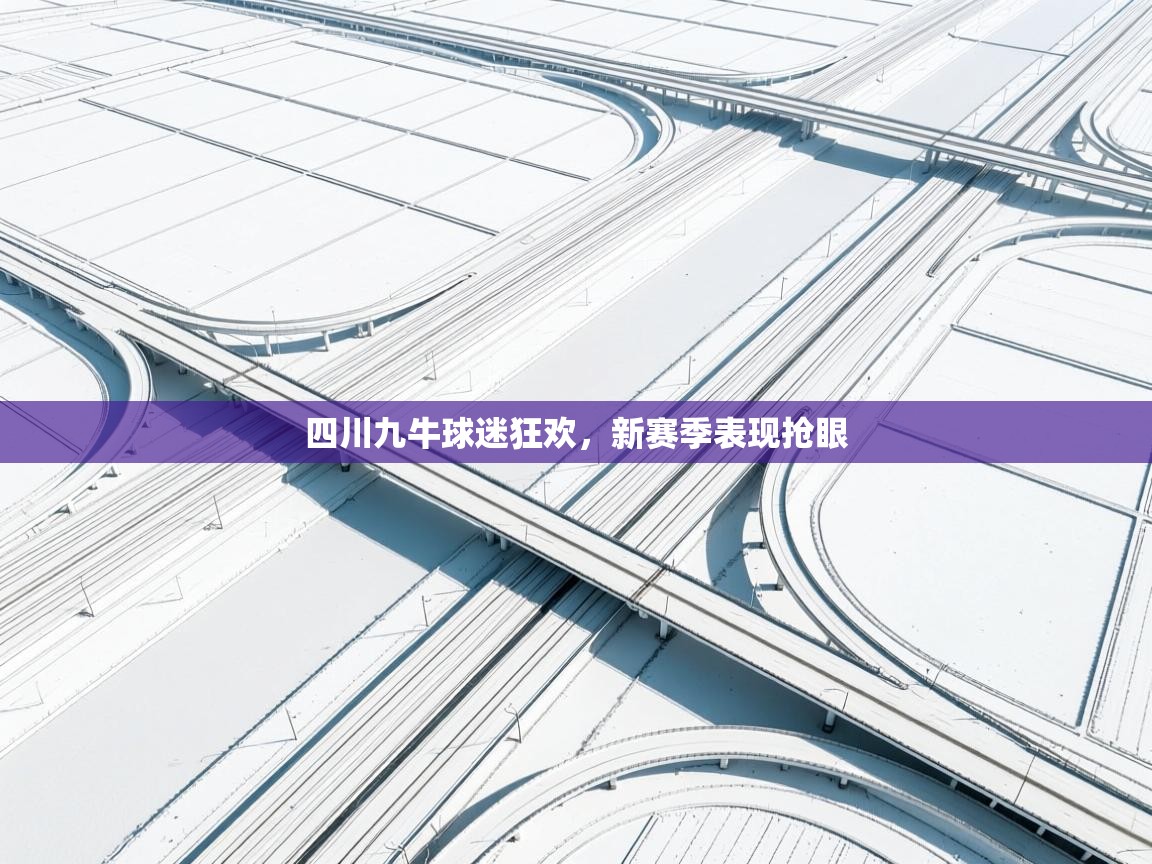 四川九牛球迷狂欢,新赛季表现抢眼 第1张