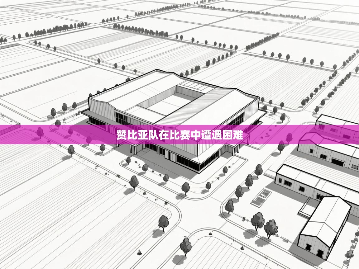 赞比亚队在比赛中遭遇困难