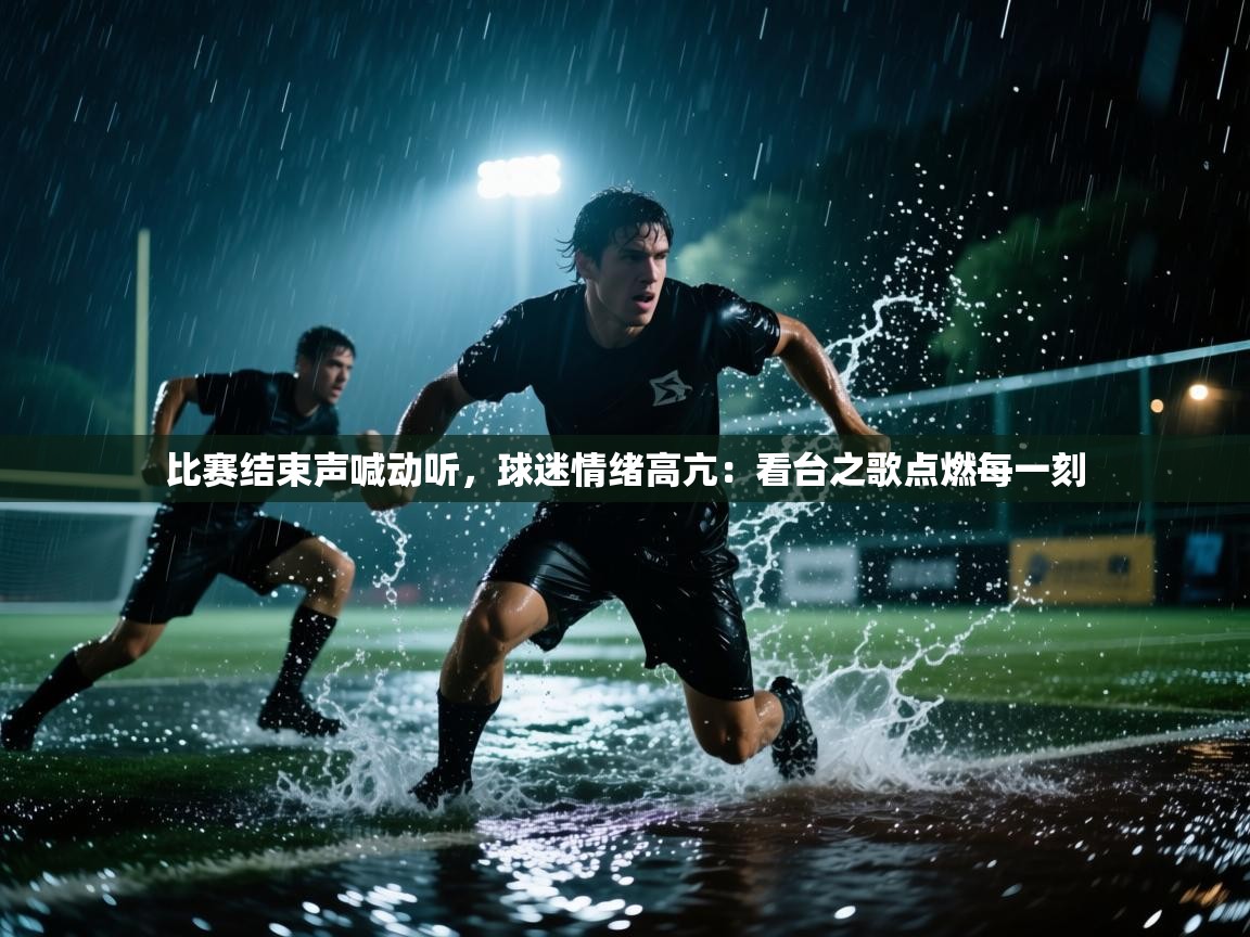 比赛结束声喊动听,球迷情绪高亢:看台之歌点燃每一刻 第2张