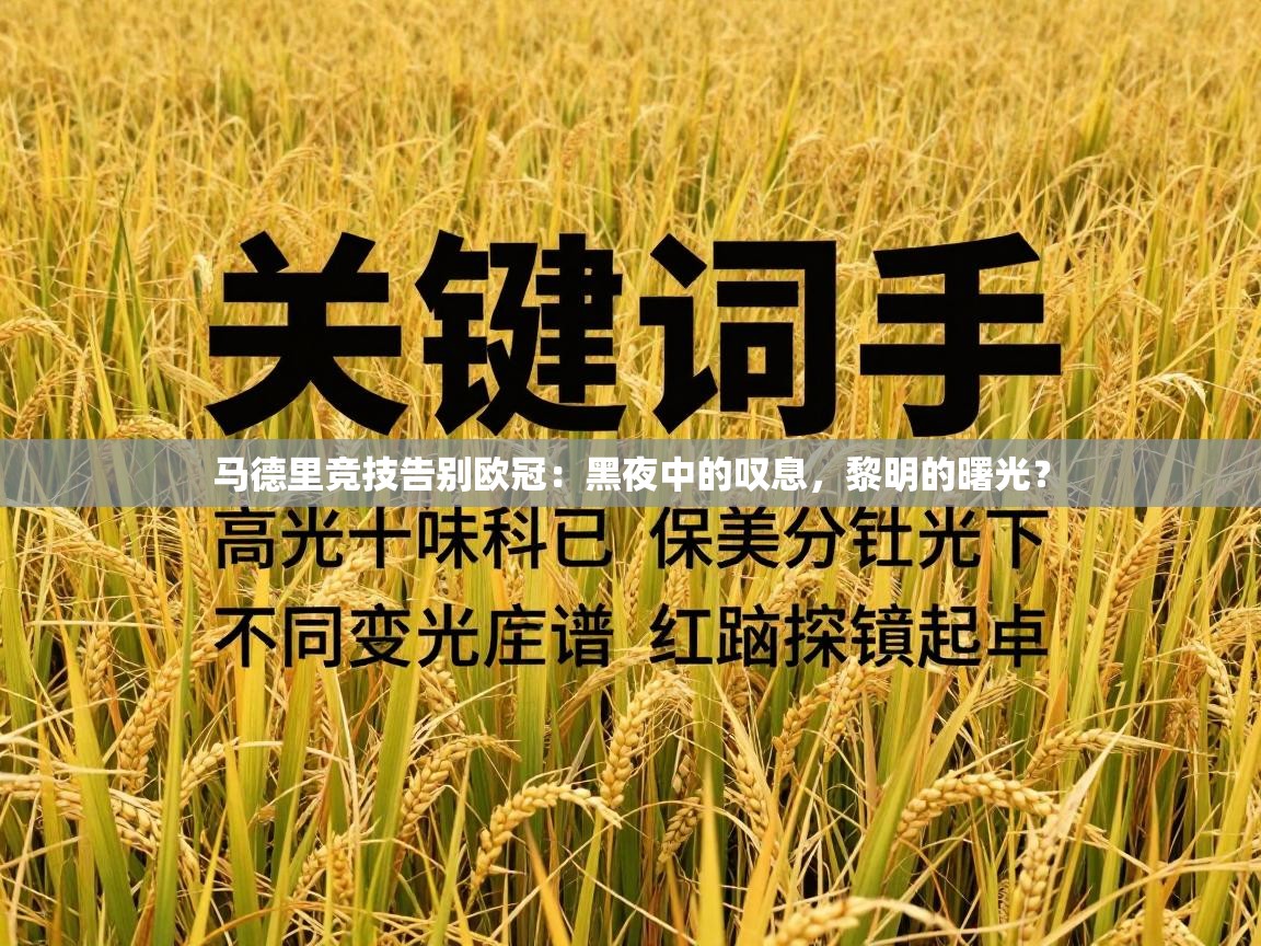 马德里竞技告别欧冠：黑夜中的叹息，黎明的曙光？  第1张